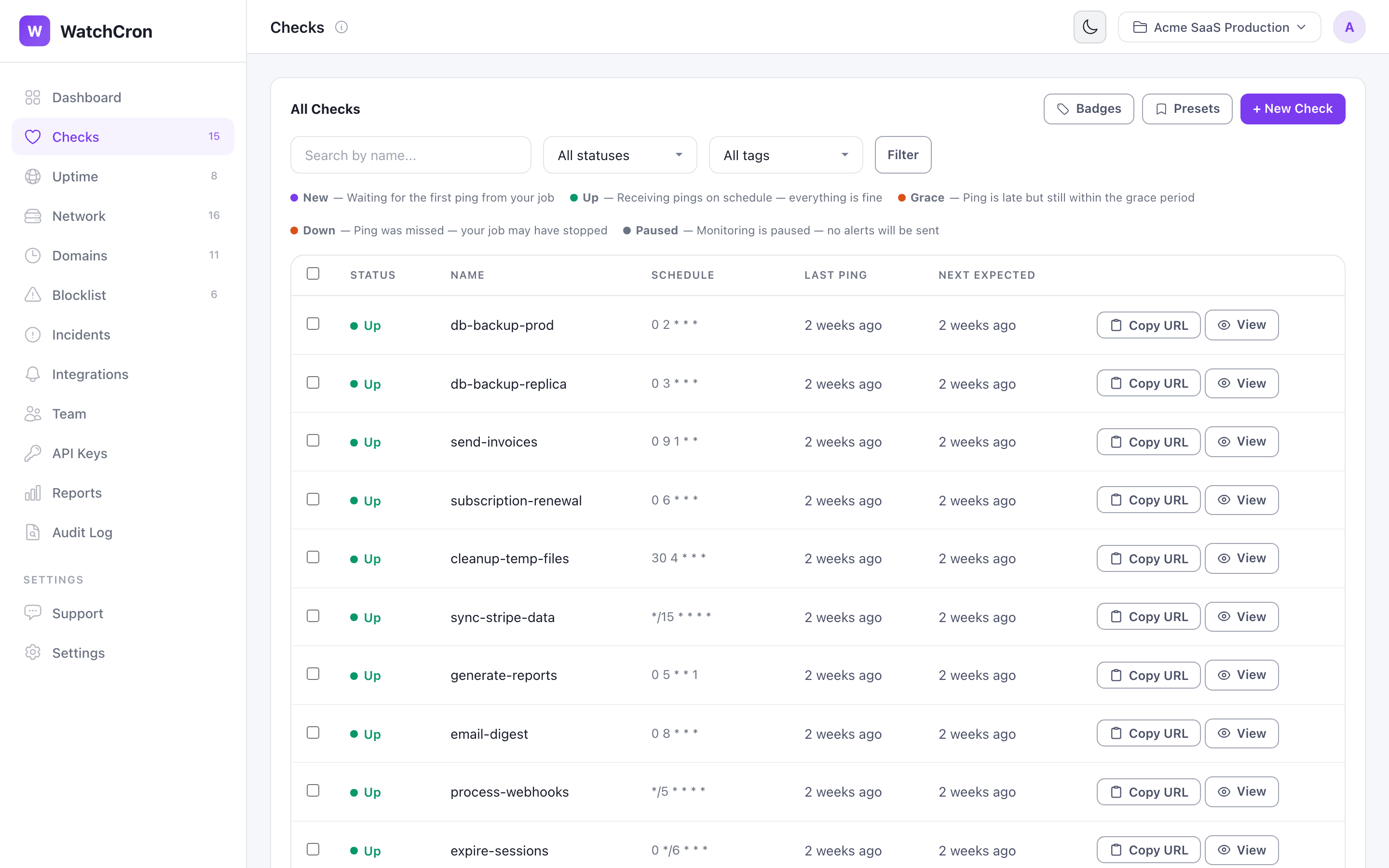 Checks list with status, schedule, and last ping time