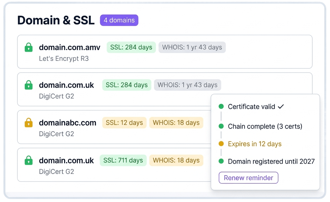 Domain & SSL Monitor